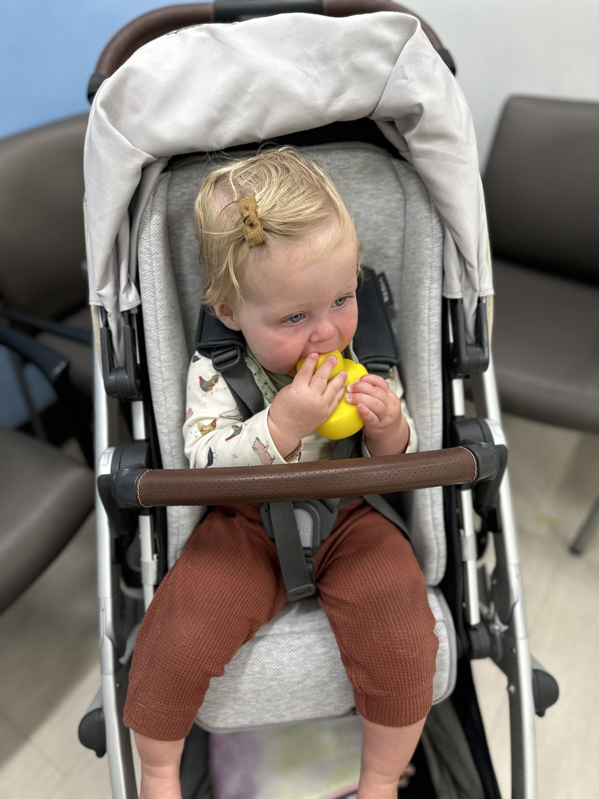 A photo of a baby in the uppababy vista v2 stroller chewing on a rubber duck